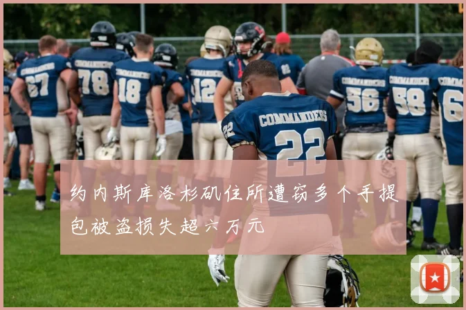 约内斯库洛杉矶住所遭窃多个手提包被盗损失超六万元